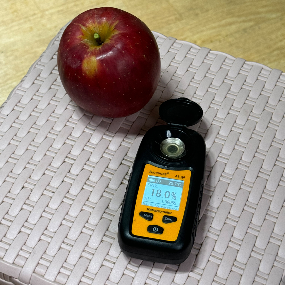 엔부사과 가정용 실속형 엔비사과 고당도 산지출고 실중량 1kg - 상세 이미지 4