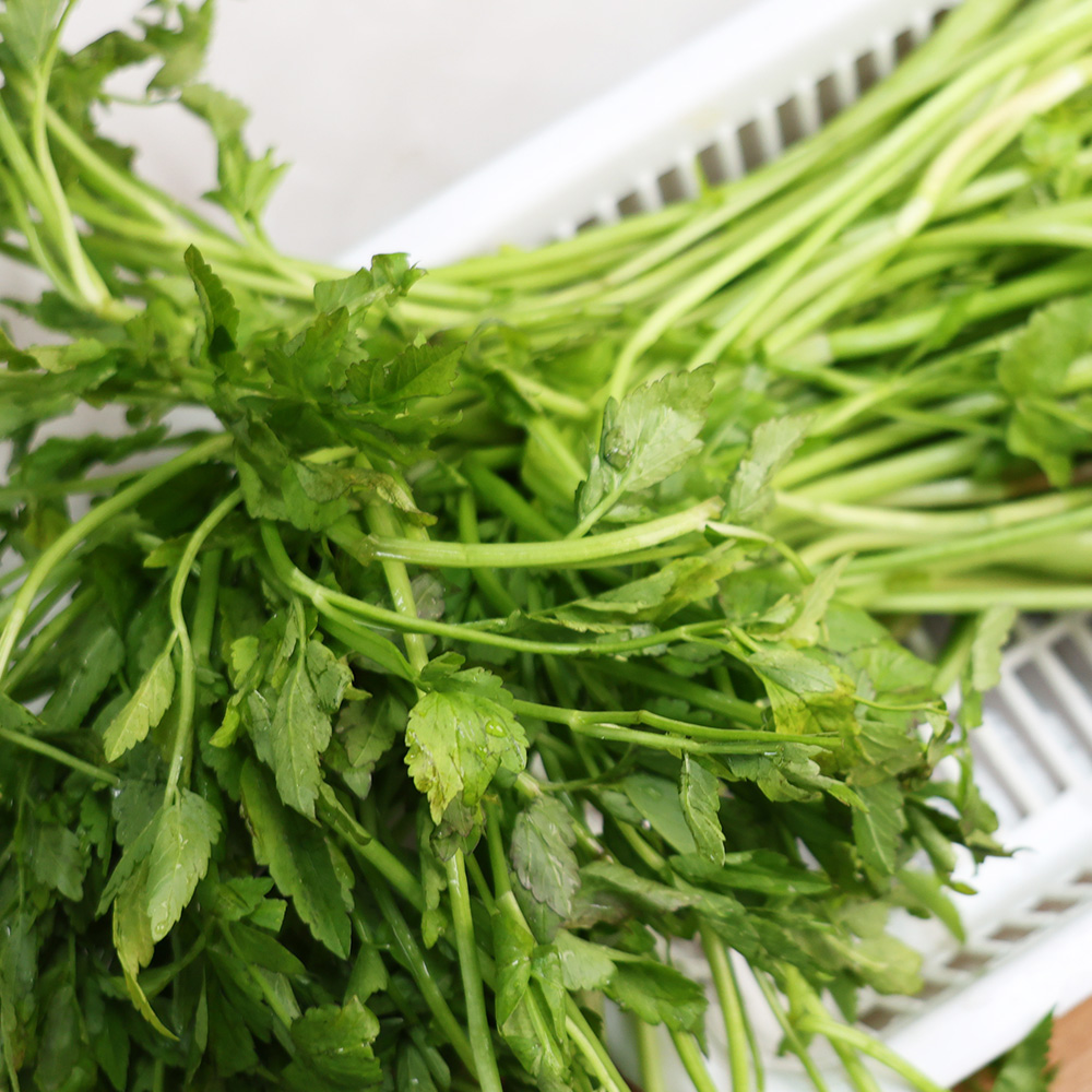 오늘신선 당일수확 산지직송 청도 미나리 500g 1kg - 상세 이미지 4