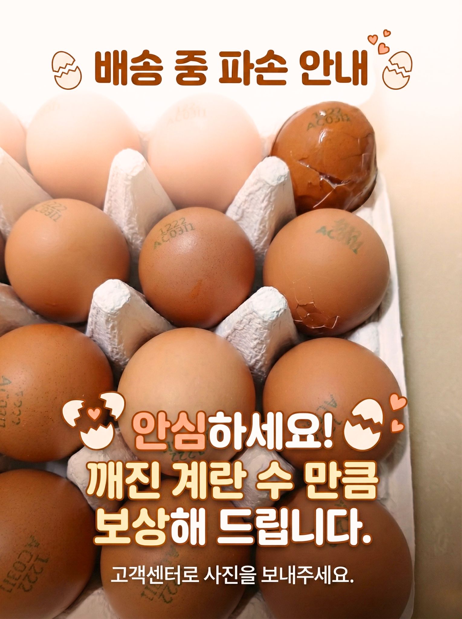 난각번호1번 날계란 아침에 자연방사 1번란계란 무항생제특란 20구 60구 이미지 2