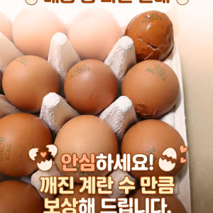 난각번호1번 날계란 아침에 자연방사 1번란계란 무항생제특란 20구 60구 맛있게 먹은 솔직 후기 - 상품 이미지 2