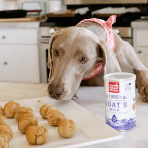 디어니스트키친 데일리 부스터 고트밀크 147g 유산균 저지방 산양유 전연... 솔직 후기 | 실제 사용자 리뷰 총정리 - 상품 이미지 2