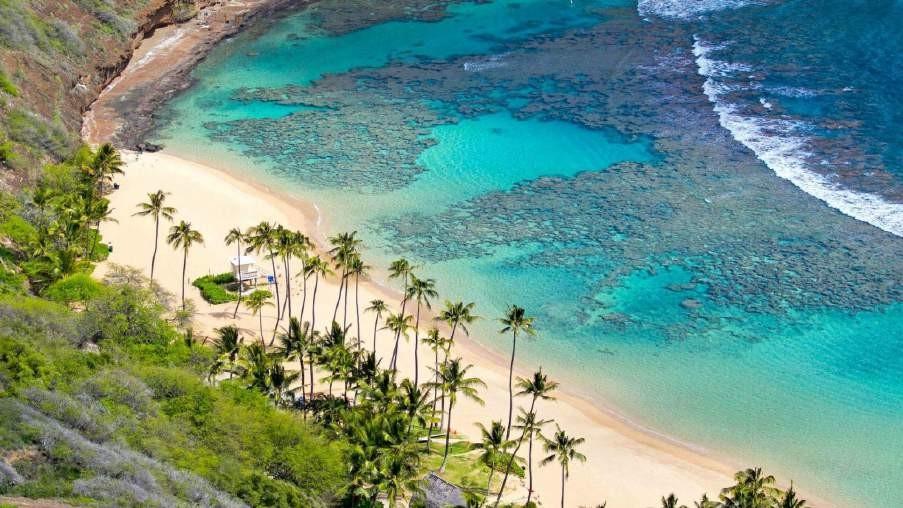 다낭 참섬 해적 호핑투어 (스노쿨링 스쿠버다이빙 파티호핑) 이미지 2