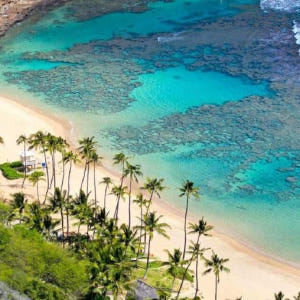 다낭 참섬 해적 호핑투어 (스노쿨링 스쿠버다이빙 파티호핑) 솔직 후기 | 실사용자 리뷰 분석 - 상품 이미지 2