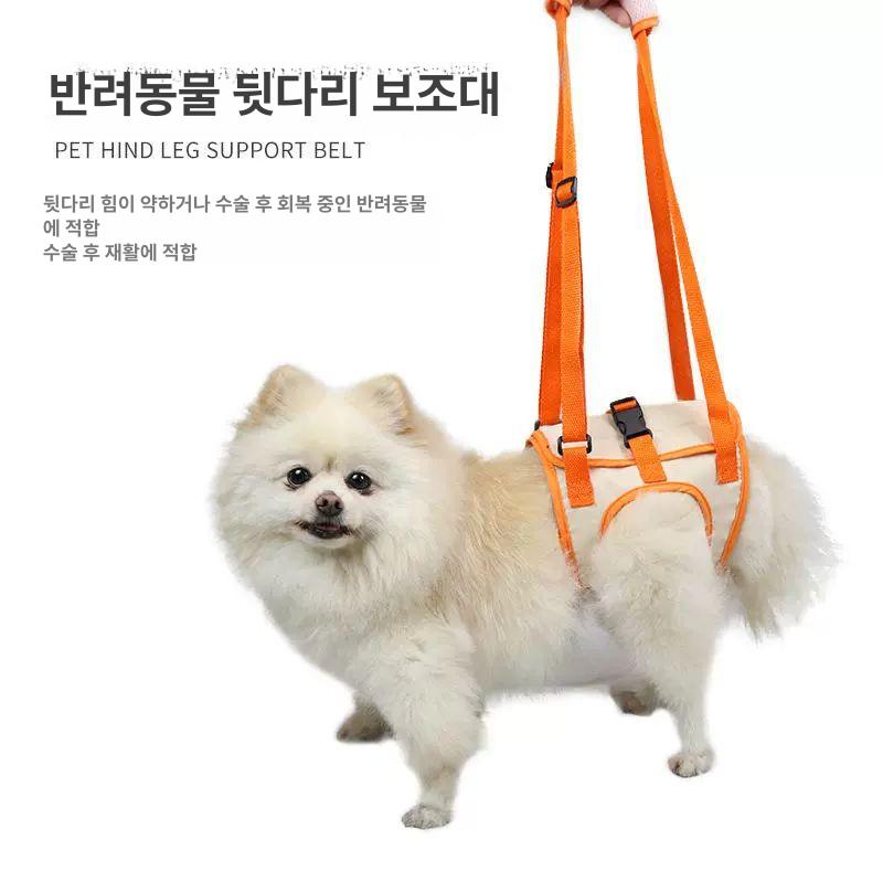 강아지보조기 반려견 보호 노견 움직임 뒷다리 슬개골 교정 오렌지 S 28-36cm 17cm - 상세 이미지 4
