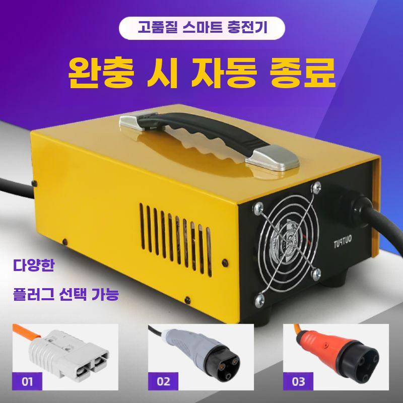 전기 지게차 충전기 트럭 밧데리 복원기 방전 고속충전 24V25A - 상세 이미지 3