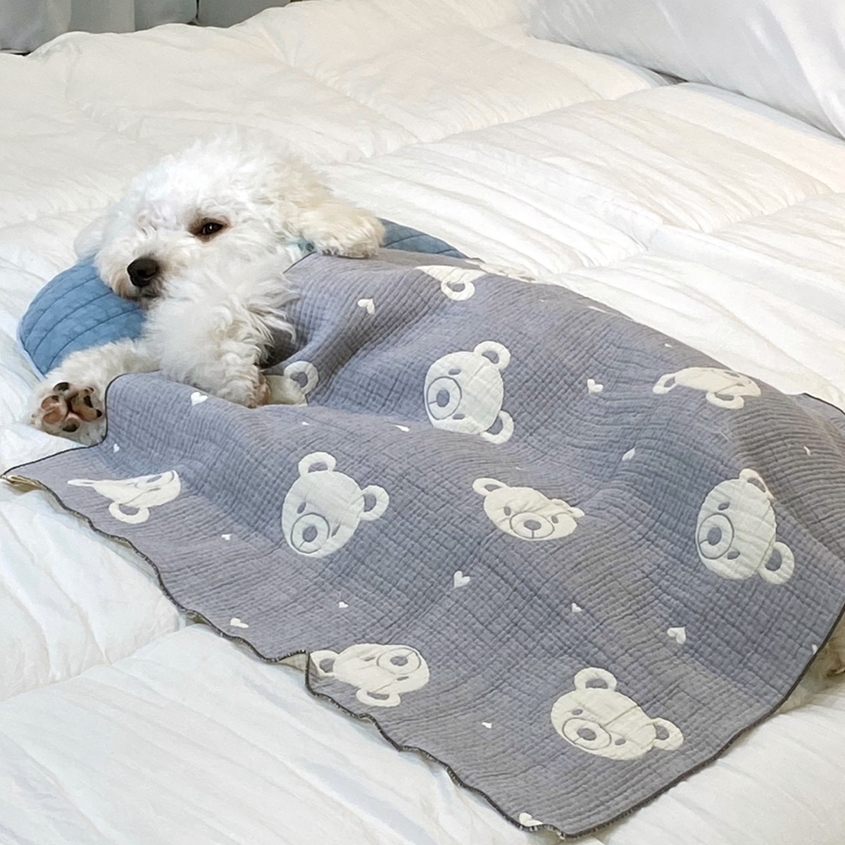 강아지방석 고양이 쿠션 낮잠 이불 꿀잠 방석 베개 몽실민트 소 이미지 6