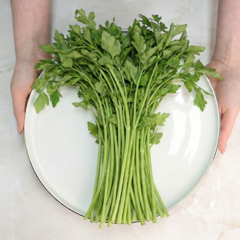 오늘신선 당일수확 산지직송 청도 미나리 500g 1kg - 상세 이미지 5