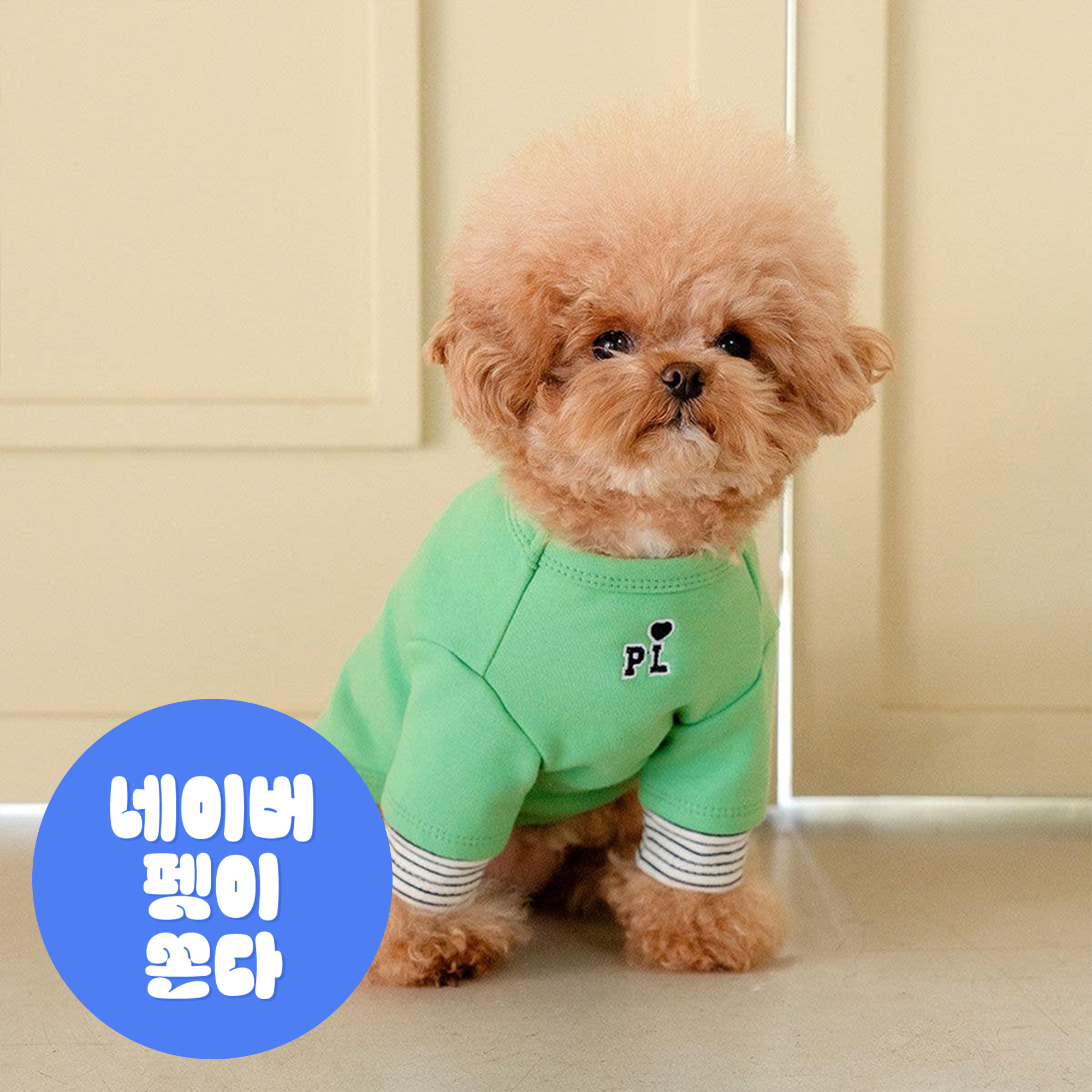 강아지겨울옷 소형견 실내복 강아지옷 레이어드 티셔츠