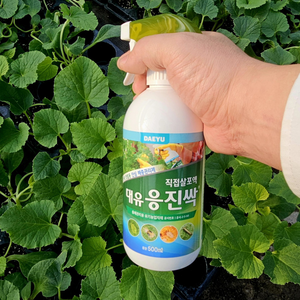대유 응진싹 스프레이 500ml 친환경농약 충해관리제 응애 진딧물 퇴치 - 상품 이미지