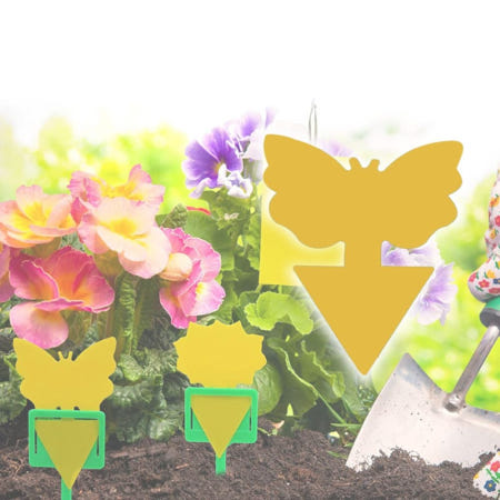 나비 모양 끈끈이 양면 트랩 10p DD 10894 제이엘생활