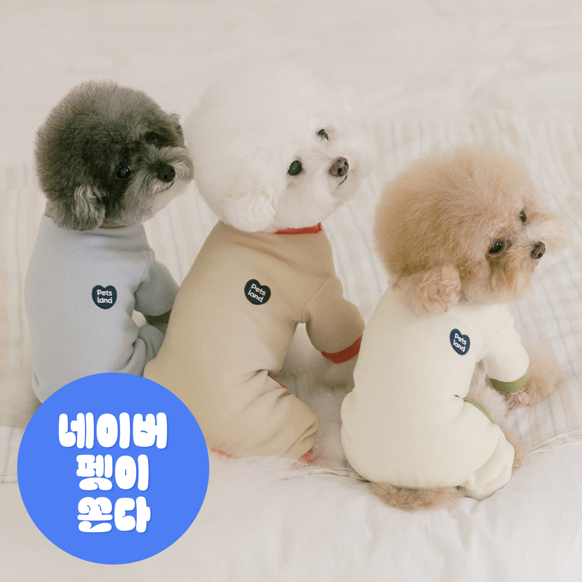 강아지 올인원 내복 실내복 겨울옷 버터소프트