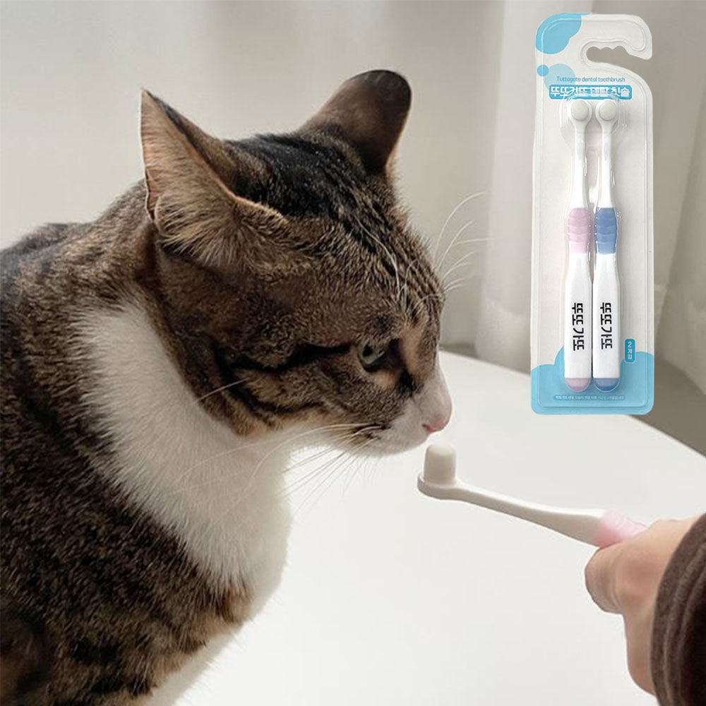 초극세모 고양이 칫솔 반려묘 입냄새 치석제거 치아케어