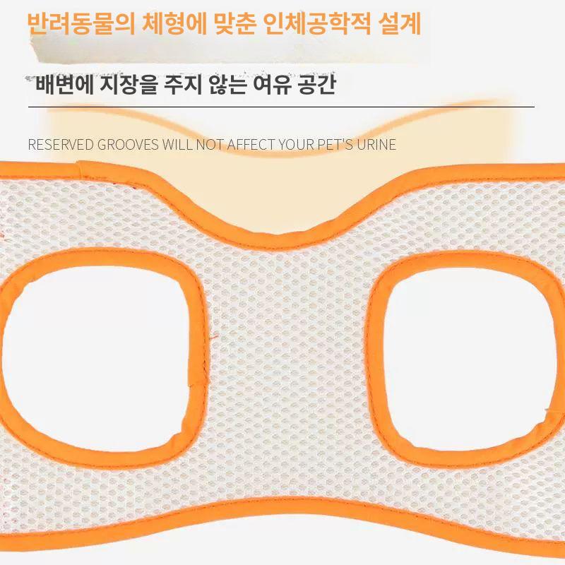 강아지보조기 반려견 보호 노견 움직임 뒷다리 슬개골 교정 오렌지 S 28-36cm 17cm - 상세 이미지 3