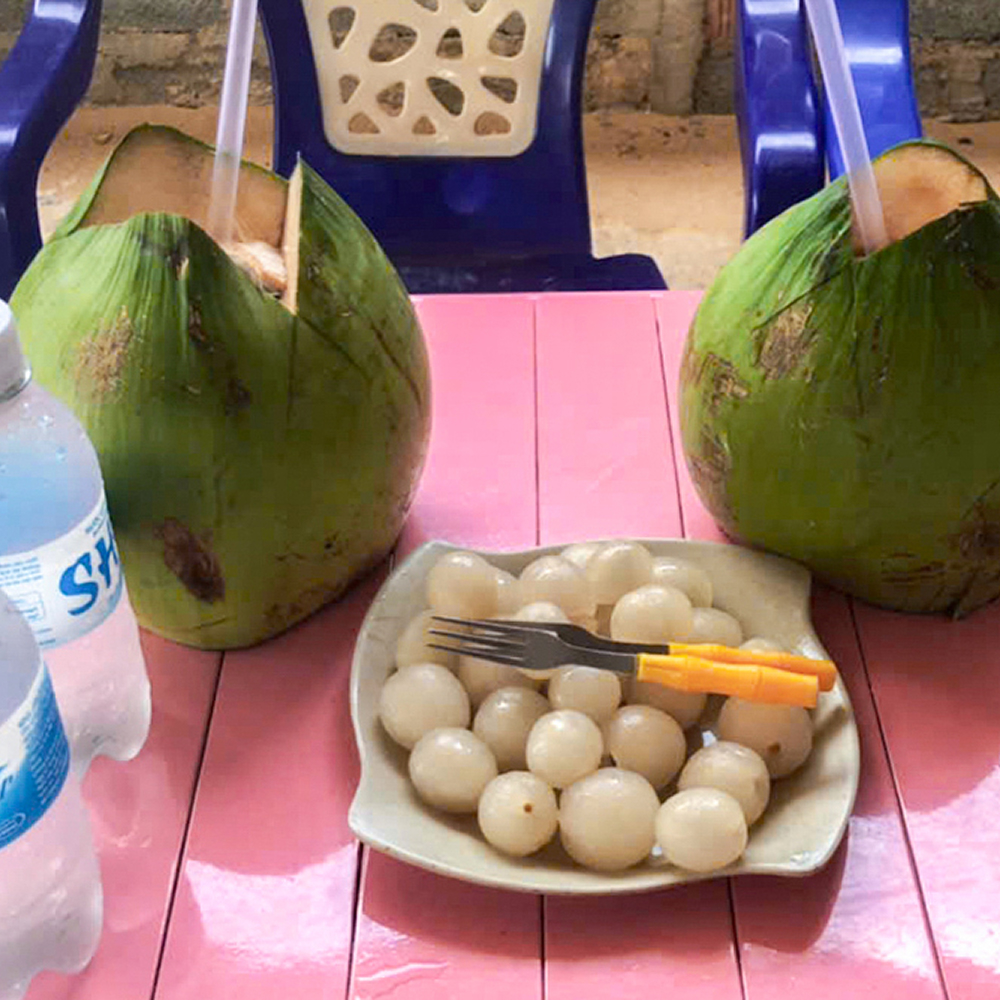 [단독차량] 나트랑 판랑 사막투어,지프카/샌드보드 포함