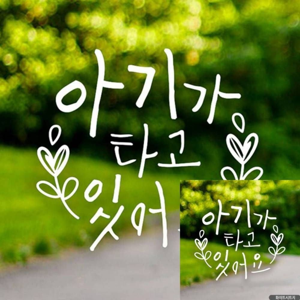 아기 자동차 스티커 월계수 아기가 탐험 중 화이트 차량 장식 - 상품 이미지