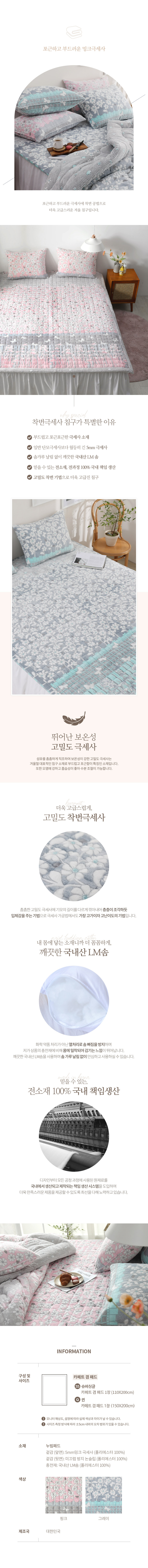 251120_dandelion_pad.jpg