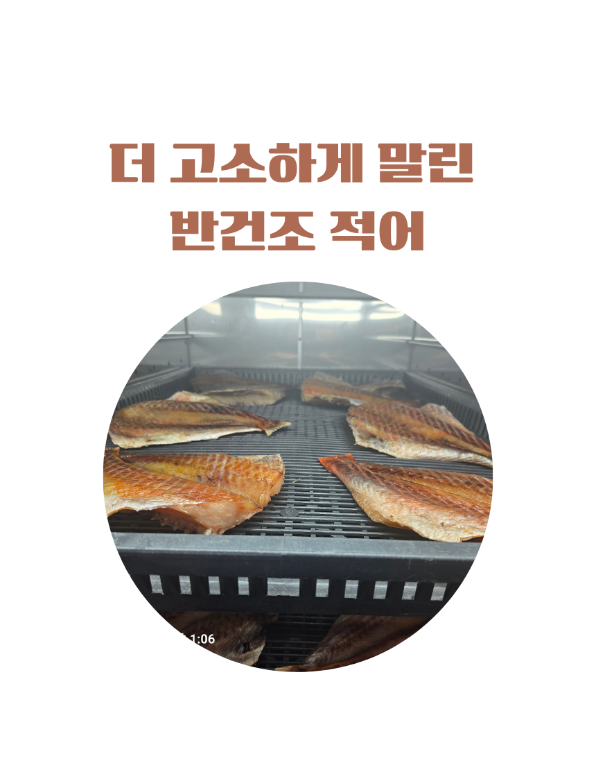 반건조생선 열기(적어) - 메인 이미지