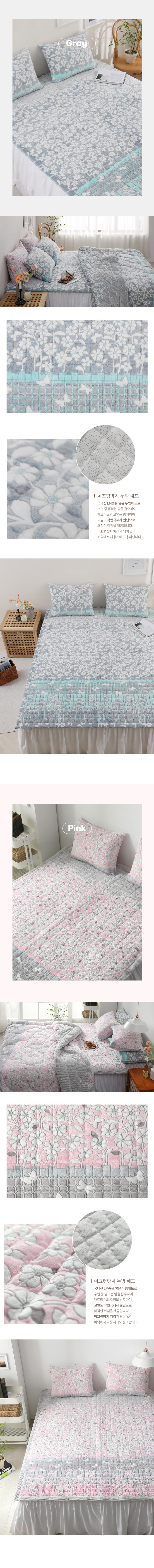 251120_dandelion_pad_2.jpg