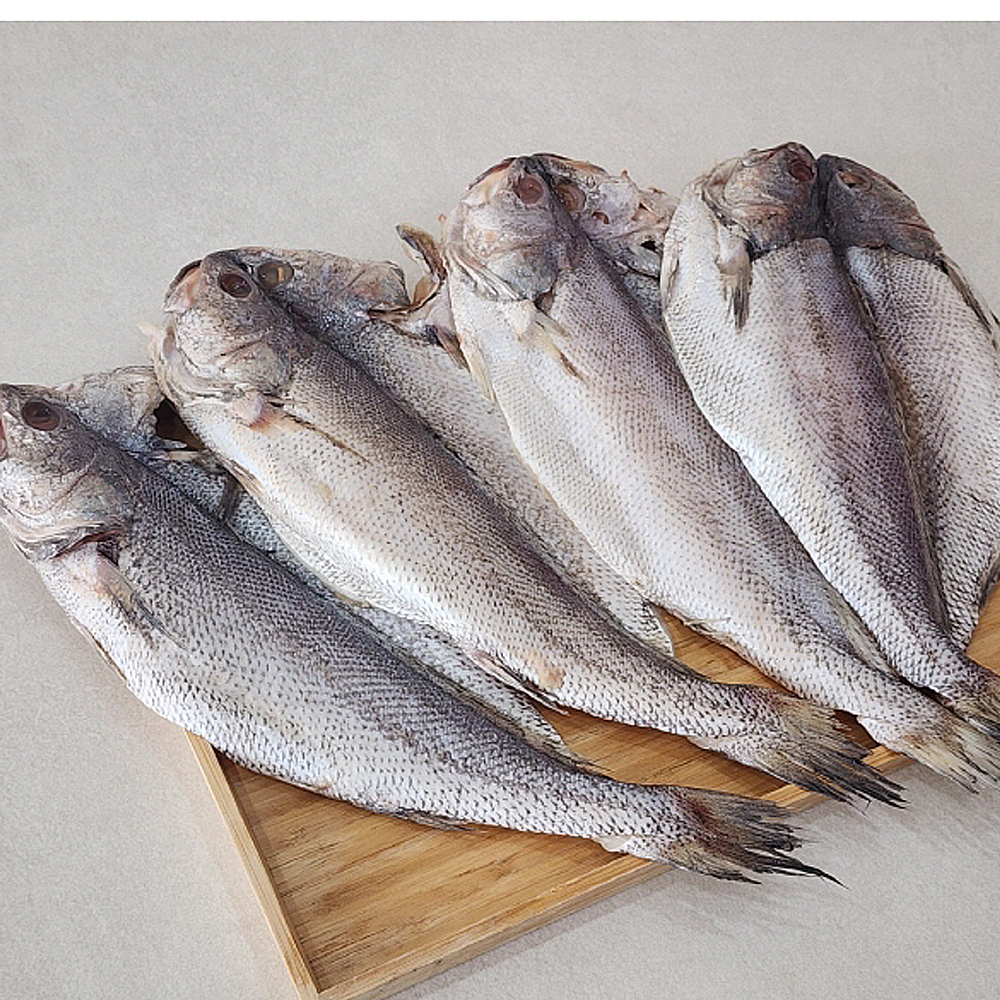 여수 자연산 반건조민어 1kg 손질4미 - 상세 이미지 3