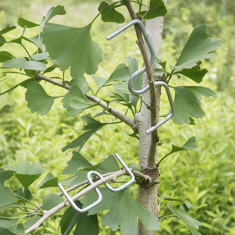나뭇가지 고정 E클립 사고 나무가지유인 이클립 50개 소형 이미지 2
