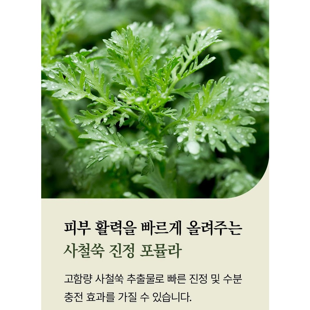 멜드림 사철 어린쑥 수분 진정 8cm 토닝 패드 80ml 40매 - 상세 이미지 3