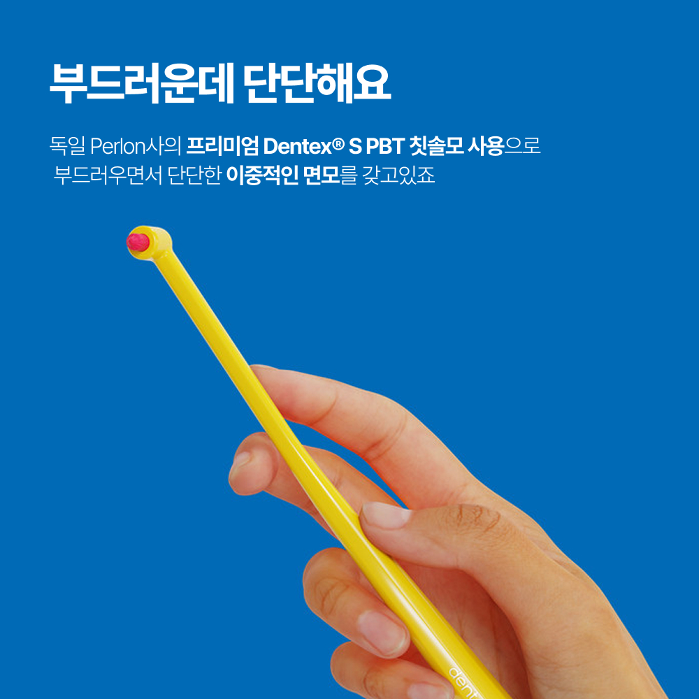 덴티넘 어금니칫솔 독일 첨단 작은헤드 치과칫솔 교정용 잇몸 사랑니 임플란트 6개입 이미지 2