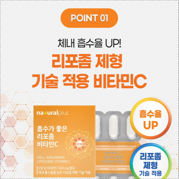 리포좀 비타민C 500mg 리포즘 리포조말 리포솜 비타민씨 - 상세 이미지 2