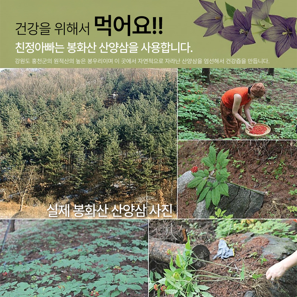 산양삼 한뿌리 자색양파즙 30포, 1박스 친정아빠건강즙 이미지 4