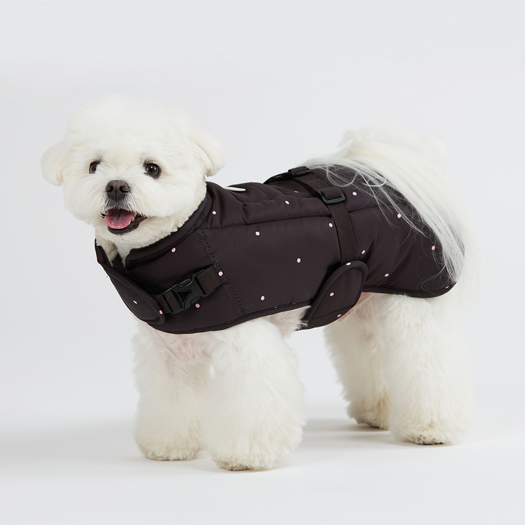 일로 도로시 패딩 강아지 소형견 중형견 대형견 발열 블랙 - 상품 이미지