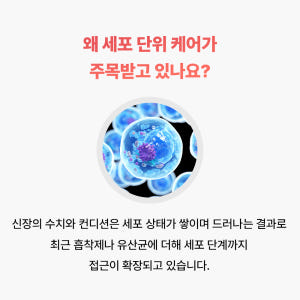 야옹섬 고양이 영양제 신장 인텐시브 세포 집중 케어 신부전 관리 2개월 ... 솔직 후기 | 실제 사용자 리뷰 총정리 - 상품 이미지 3