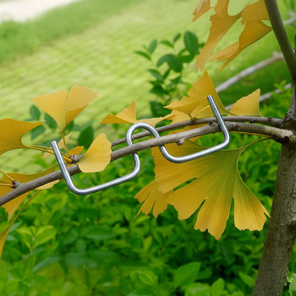 나뭇가지 고정 E클립 사고 나무가지유인 이클립 50개 소형 실사용 후기 | 효과 있을까? - 대표 이미지