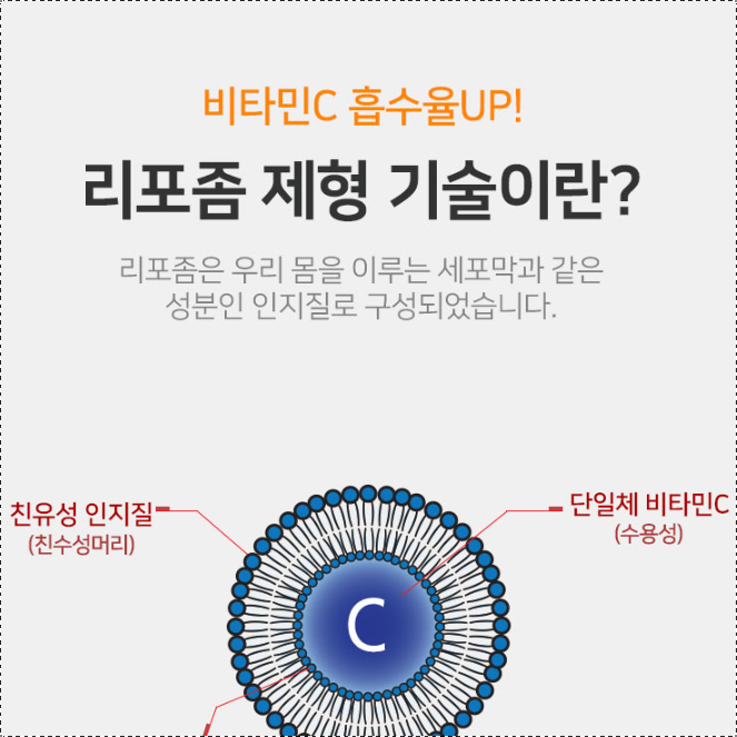 리포솜 비타민C 500mg 2개월분 리포즘 리포좀 리포조말 비타민씨 - 상세 이미지 3