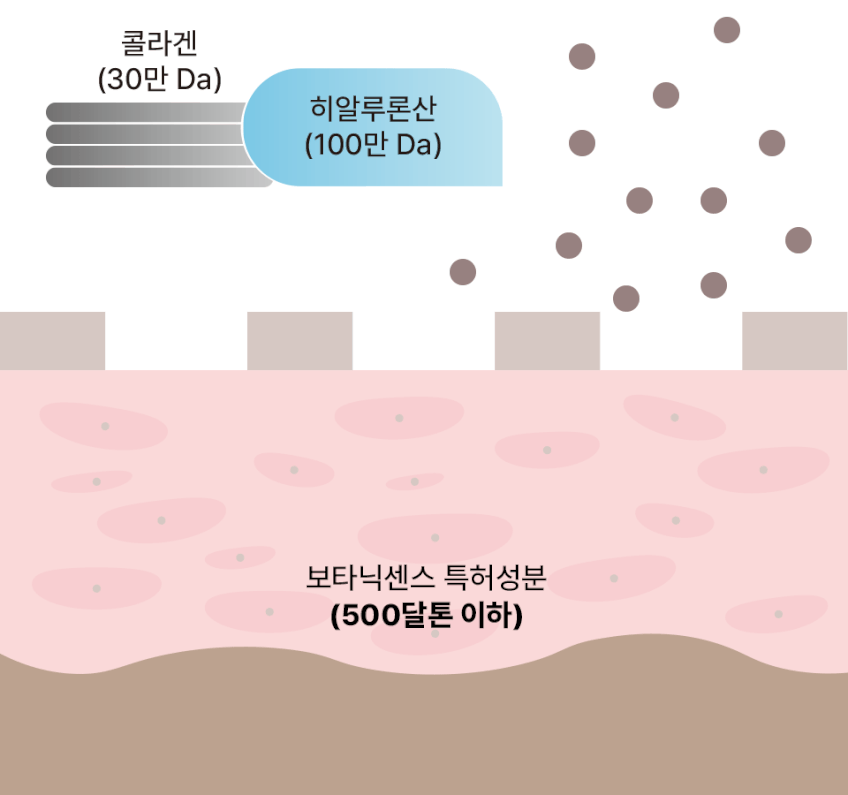 보타닉센스 데칸알 주름 미백 개선 저자극 저분자 영양 콜라겐 재생크림 65ml 판매처 상세 정보 이미지 2