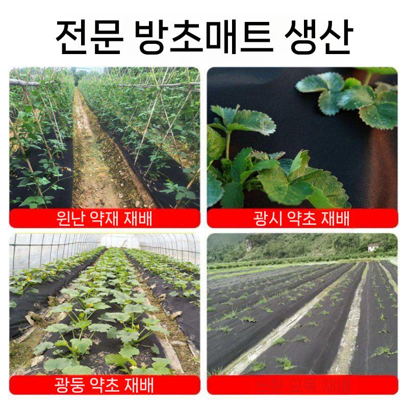 잡초방지 매트 통기성 멀칭필름 2홀/2~3년 - 0.8미터x50미터 - 상세 이미지 2