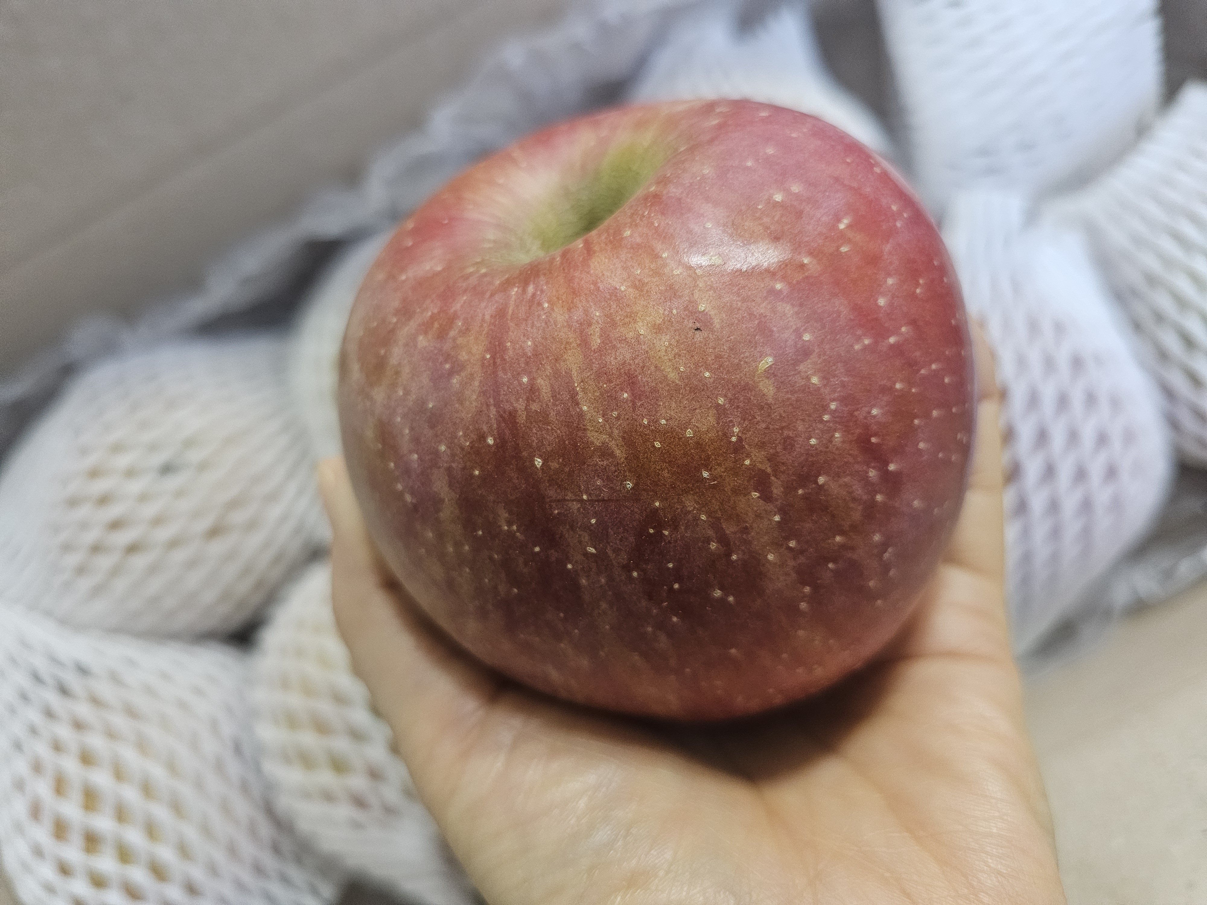 못난이사과 가정용 흠집 꿀 고당도 부사사과 고당도 이미지 7