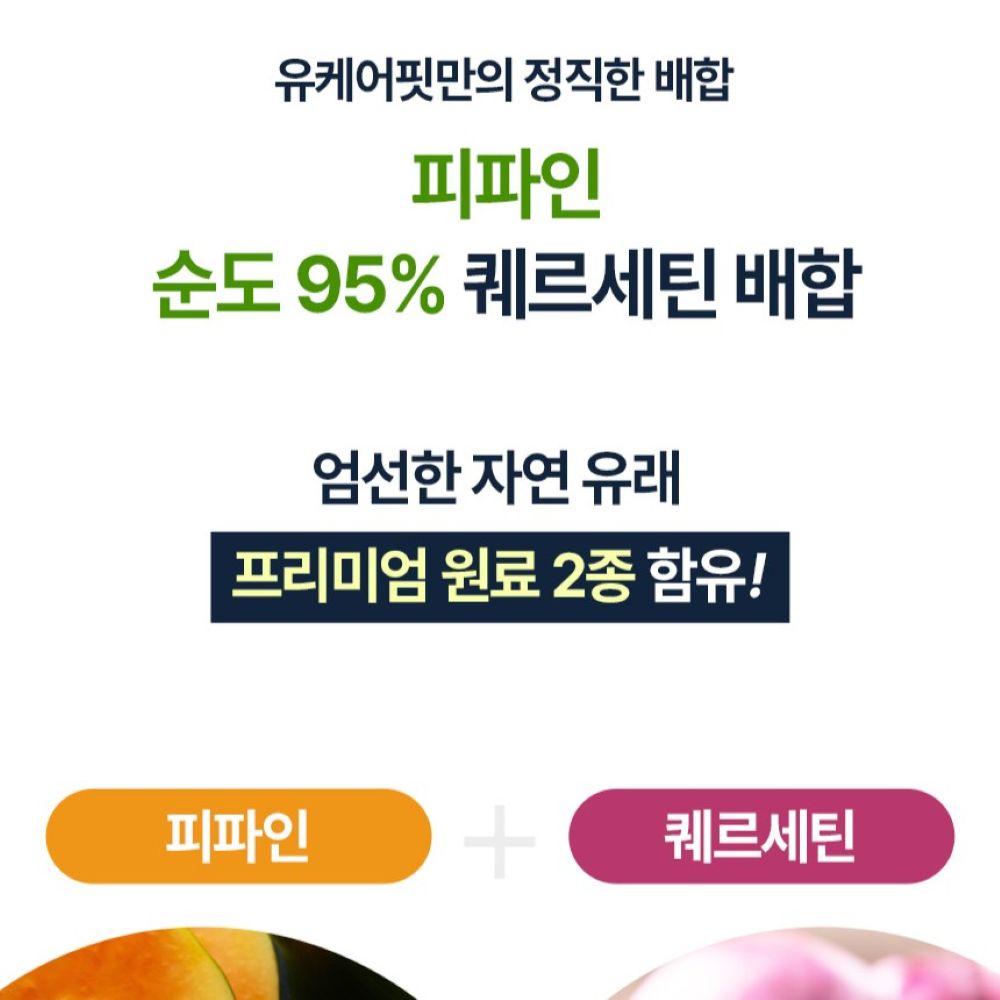 브로멜라인 고함량 퀘르세틴 파인애플효소 케르세틴 효능 60정 1+1개 이미지 8
