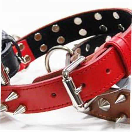 온지니 대형견용 징가죽 목줄 30㎜ 블랙 강아지목끈 대형견용가죽목줄