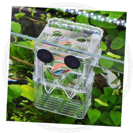 어항 격리통 투명 아크릴 치어 부화 케이스 열대어 사육 용품