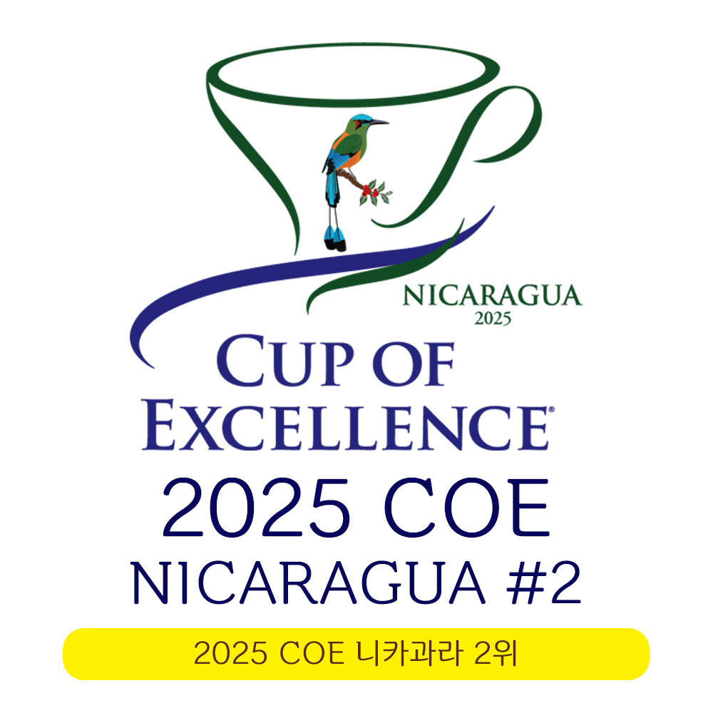 니카라과 원두홀빈 2025 COE 2위 마라카투라 워시드 150g 스페셜티 홈카페 당일로스팅