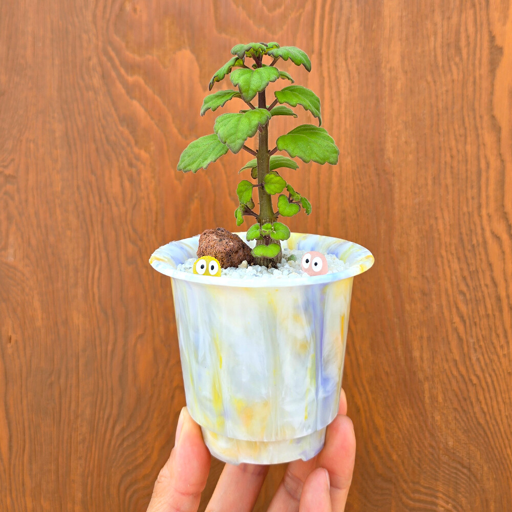 업사이클링 1.5ºC 화분 미니화분 선물 집들이 인테리어 아임팟 이미지 6
