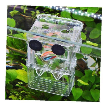 어항 격리통 투명 아크릴 치어 부화함 열대어 사육 격리상자 물고기 번식통 수족관 격리케이스