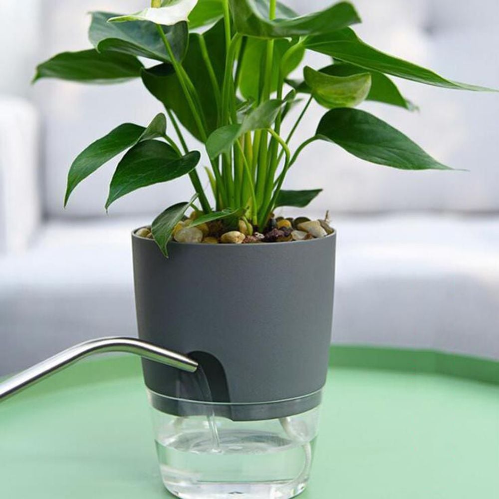 키밍 자동급수 인테리어화분 8.2cm 10.5cm 15.3cm 화이트-8.2CM - 메인 이미지