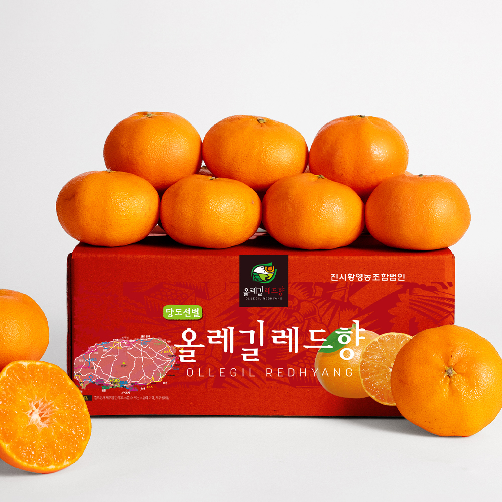 [산지직송] 올레길 ai 당도선별 레드향 - 상품 이미지