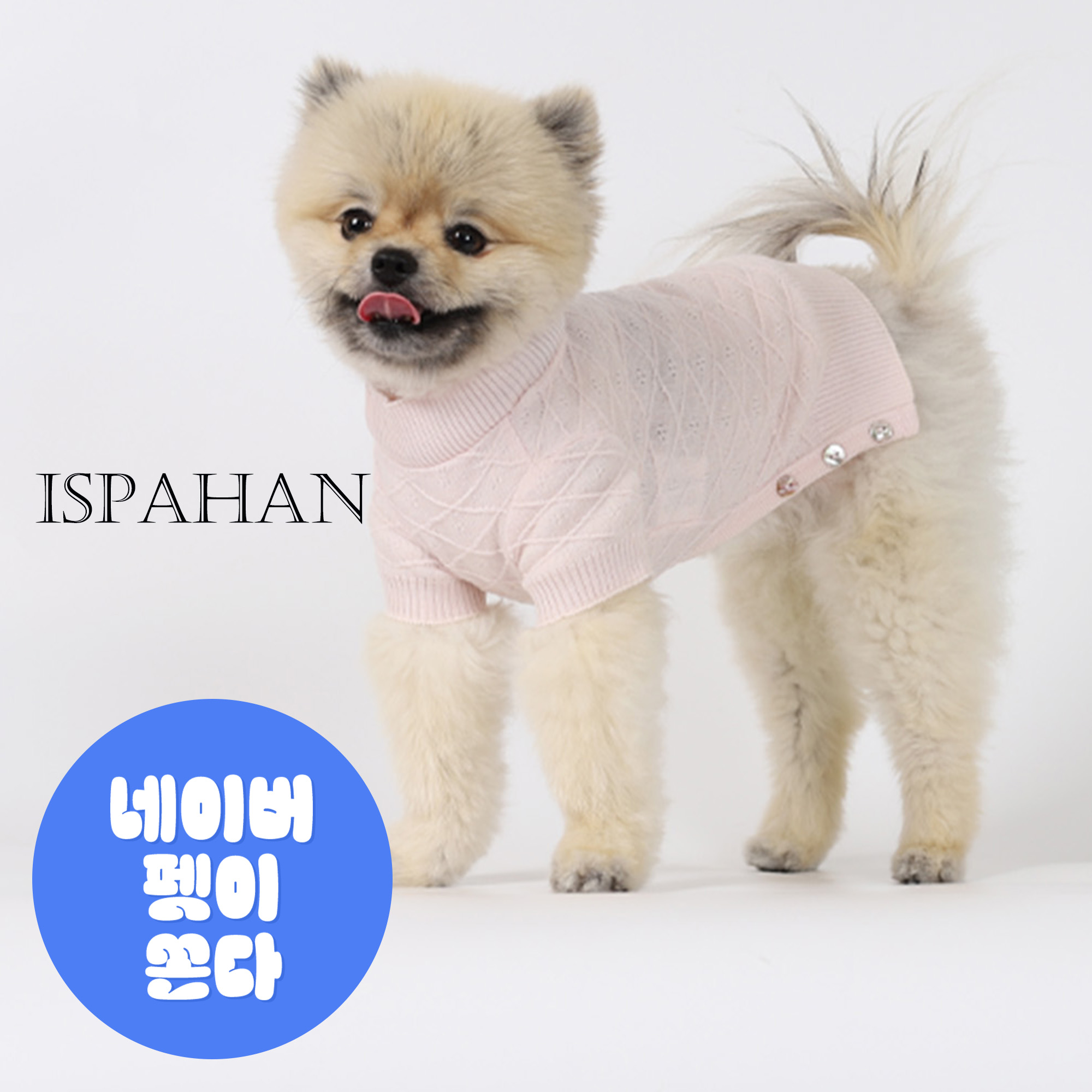 강아지옷 몽루 이스파한(ISPAHAN)
