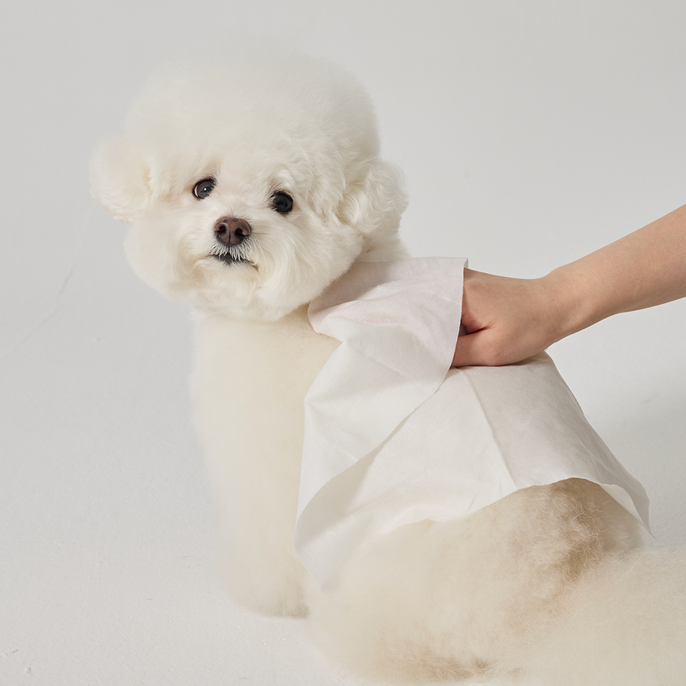 냅다다 강아지물티슈 고양이물티슈 펫 바디 목욕 대나무원단 젠틀바디샤워티슈 10매, 1팩 - 상세 이미지 4