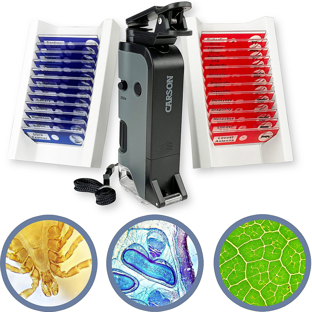 카슨 LED 포켓현미경 100배,250배,슬라이드 24개포함,MP-250BUN - 상품 이미지