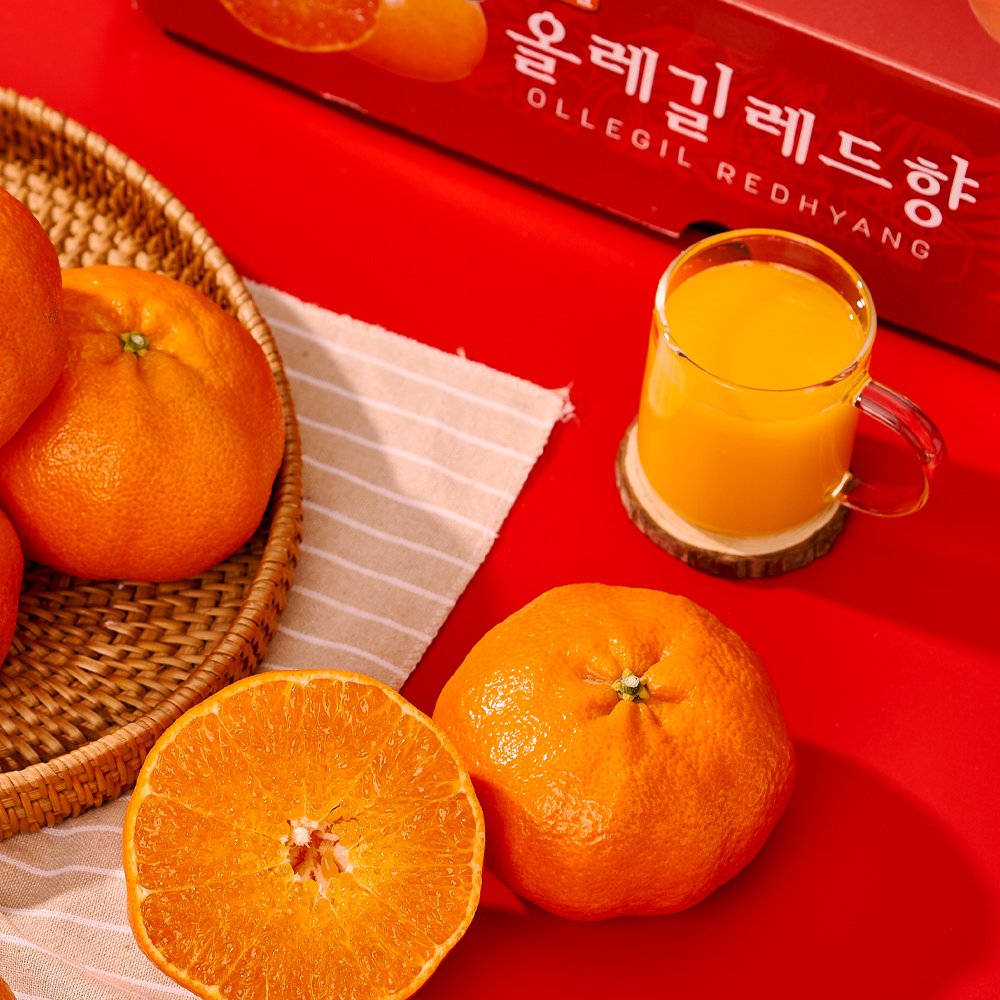 [산지직송] 올레길 ai 당도선별 레드향 - 상세 이미지 2