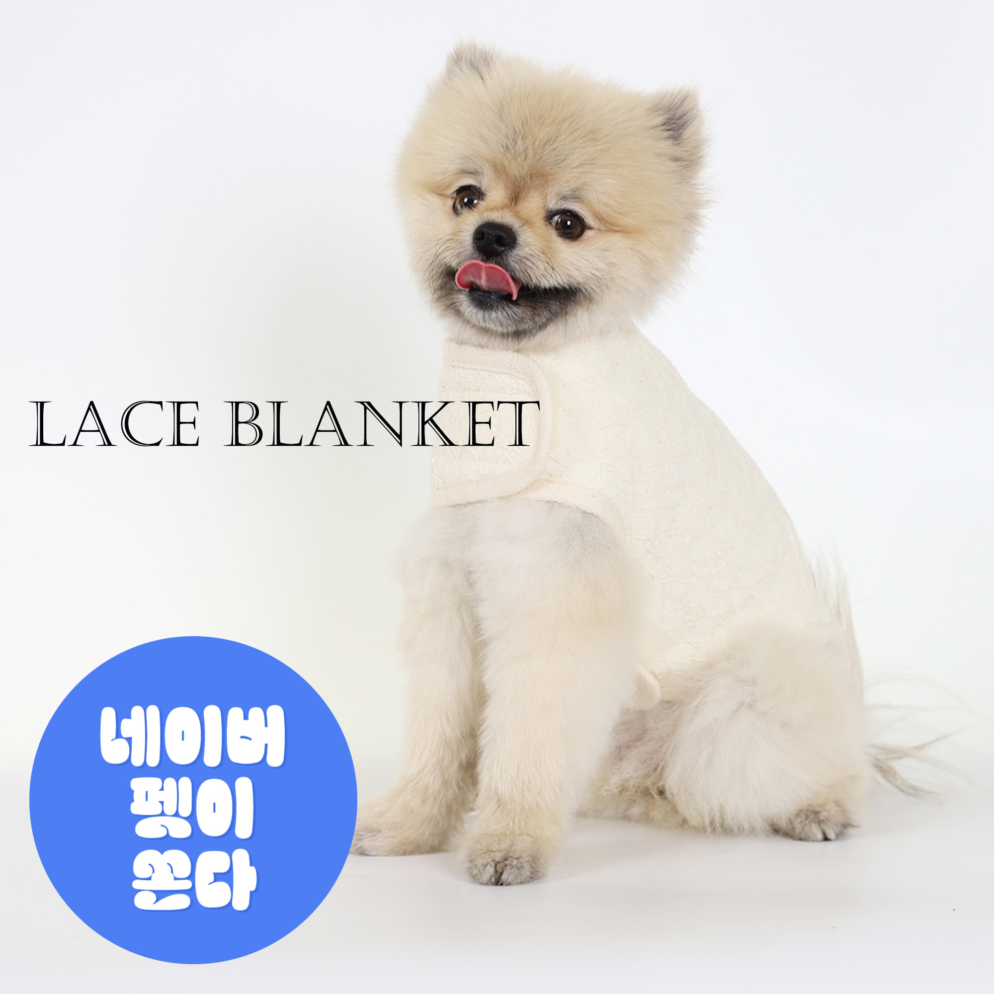강아지코트 몽루 레이스코트