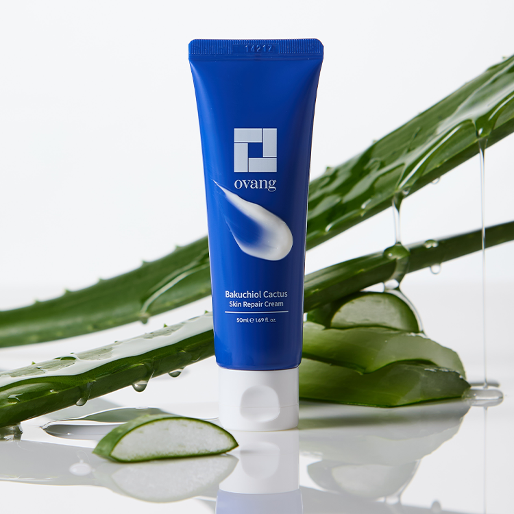 오방 바쿠치올 선인장 스킨 레티놀 크림 50ml - 상품 이미지