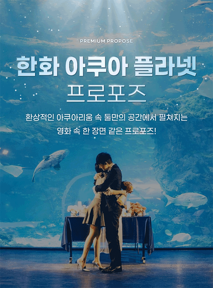 아쿠아플라넷 프로포즈 서프라이즈 스토리 판매처 상세 정보 이미지 4